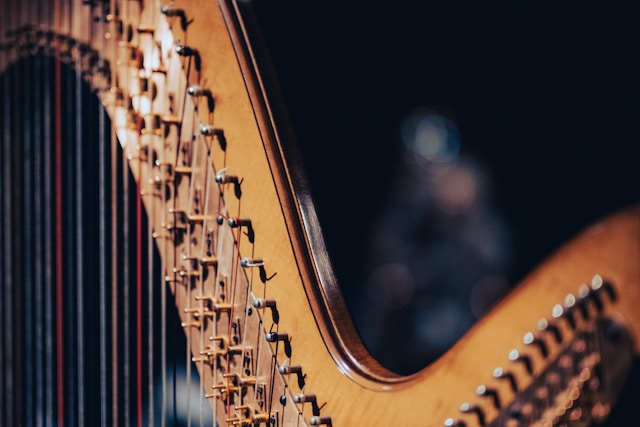 Harp