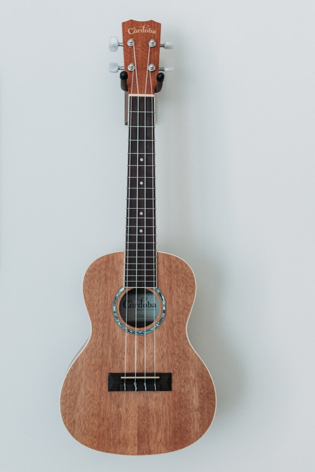 Guitar